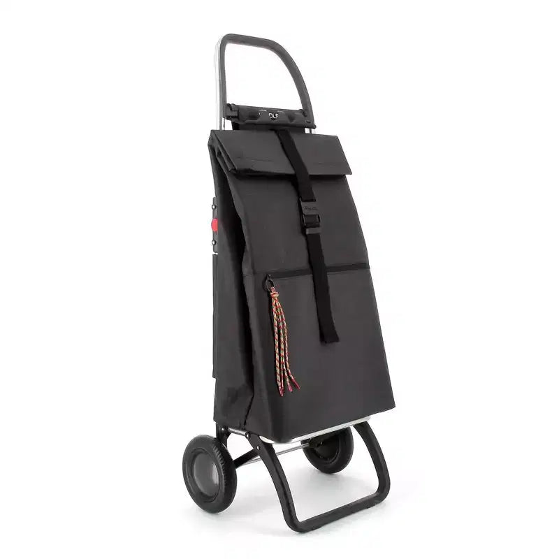 Chariot de courses pliable à 2 roues