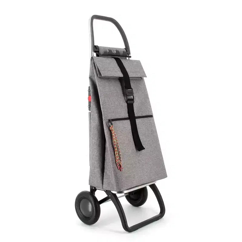 Chariot de courses pliable à 2 roues